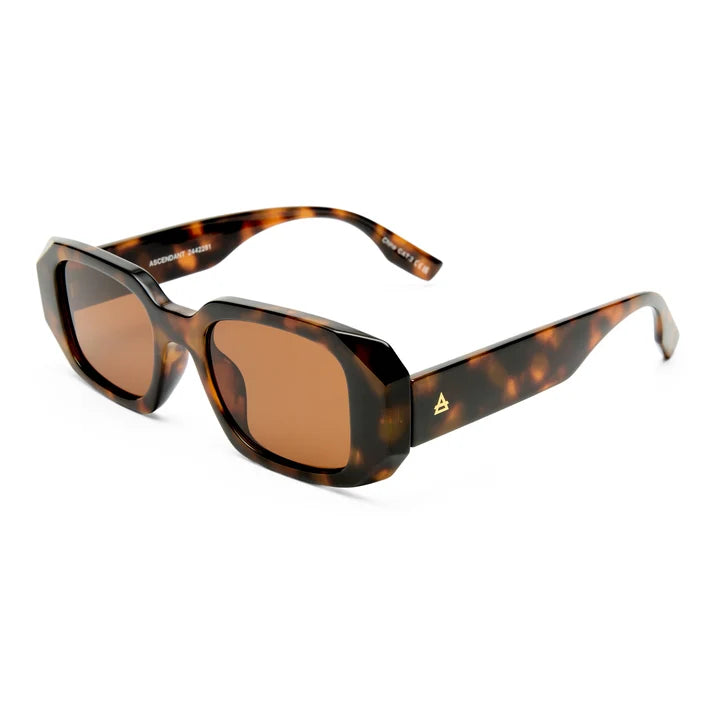 Aire Ascendant Sunglasses in Dark Tort